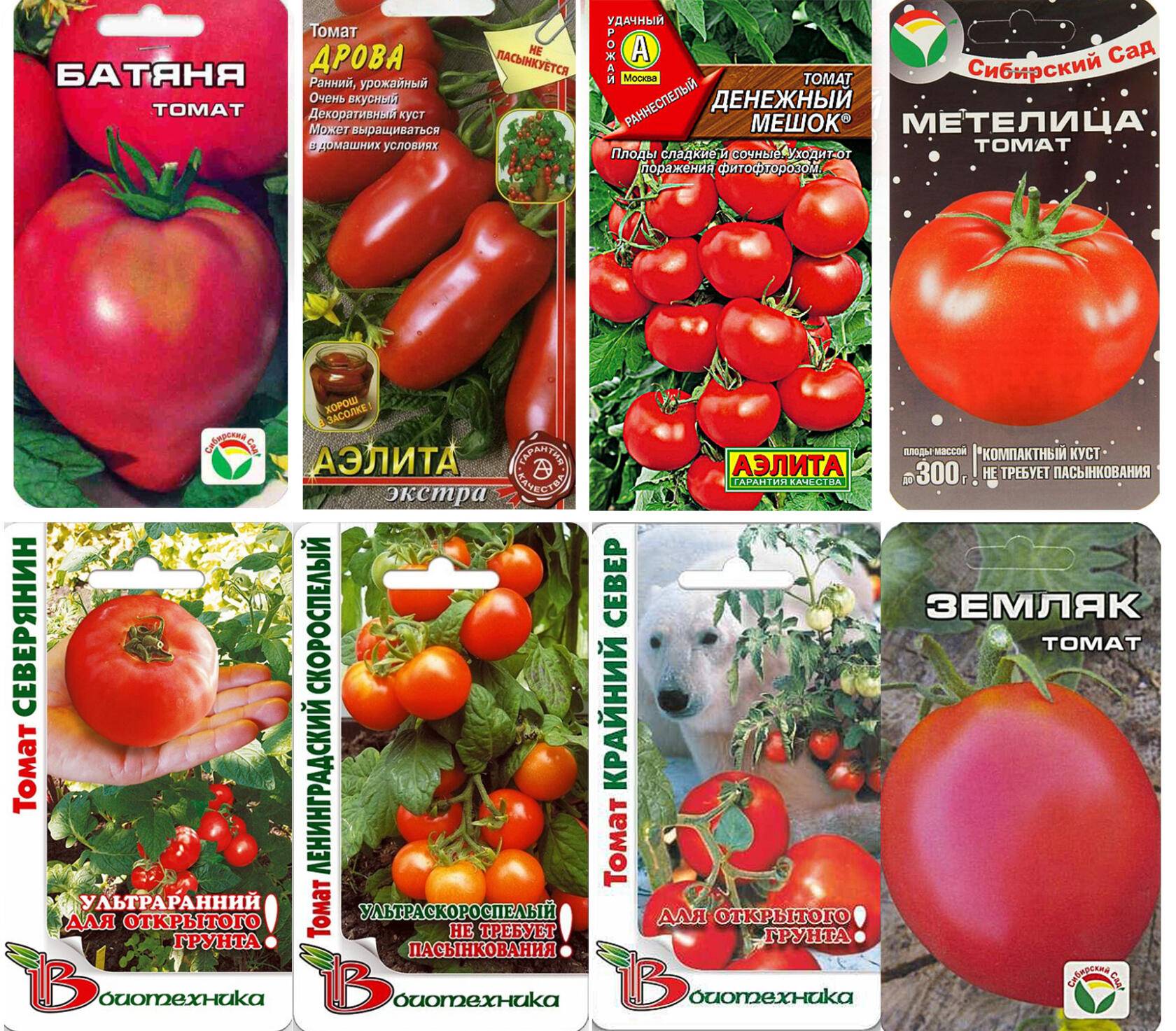 Лучшие сорта низкорослых помидоров для теплицы из поликарбоната