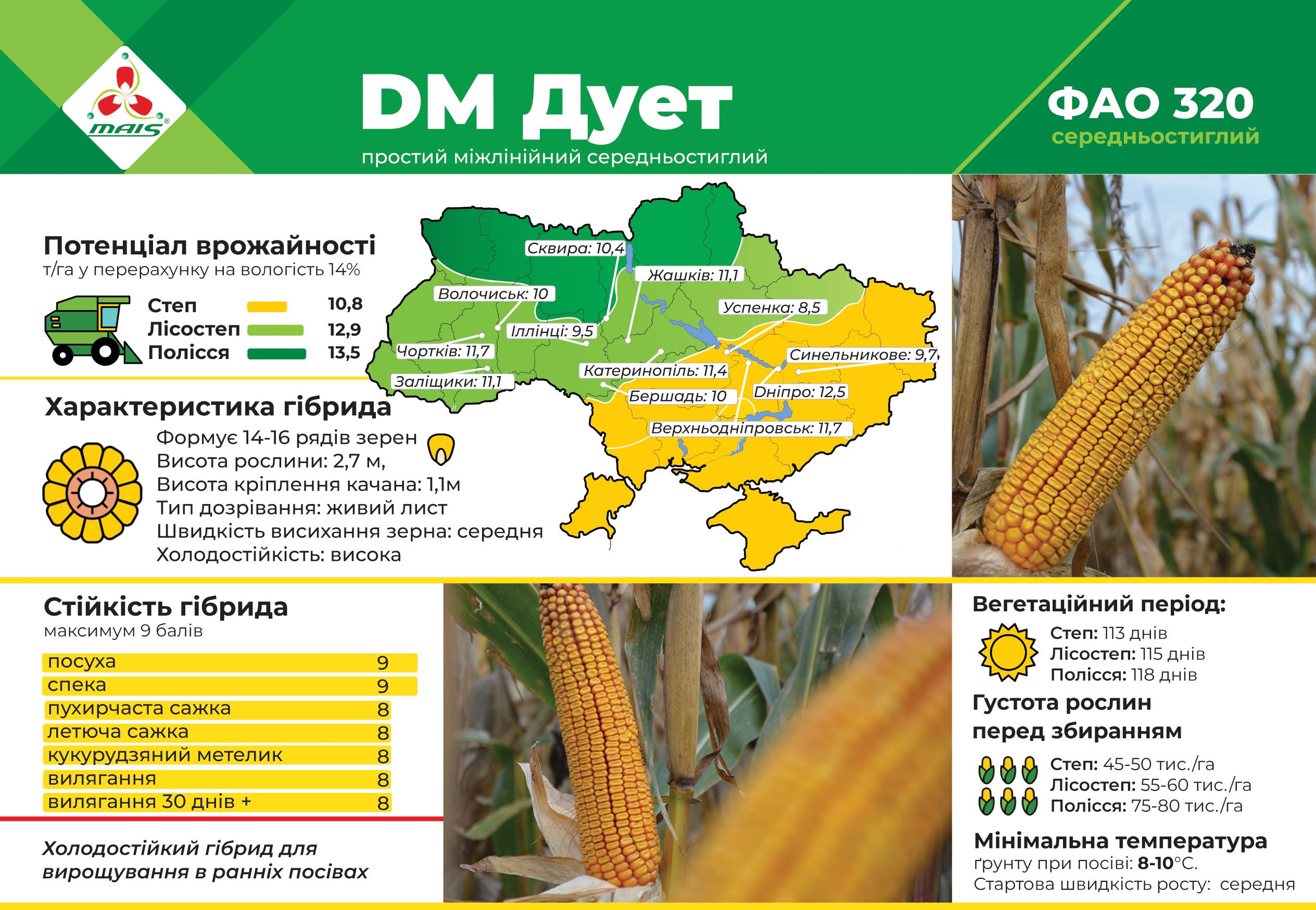 Выращивание экзотических видов и сортов кукурузы — floraprice.ru