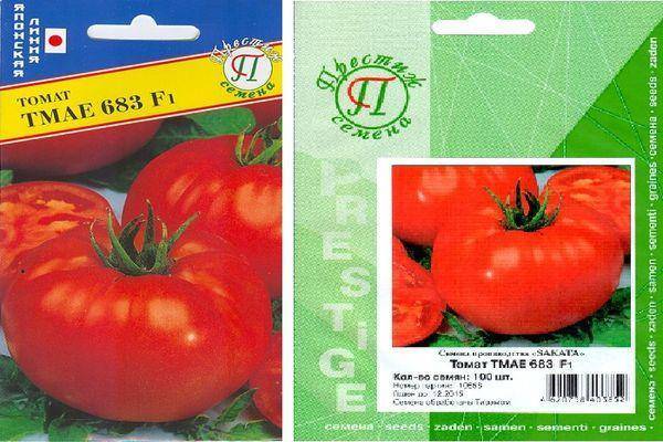 Описание японского томата Тмае 683 F1 и выращивание гибрида