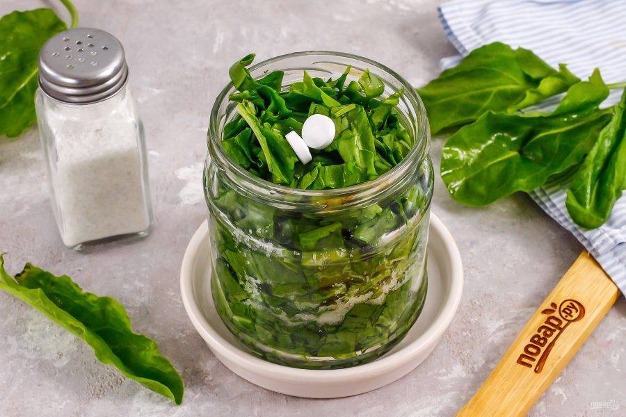 Как хранить шпинат и как заготовить шпинат на зиму в домашних условиях