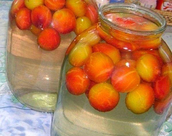 Компот из алычи на зиму: рецепты с яблоком, грушей, персиком, виноградом, смородиной, из замороженных плодов + отзывы