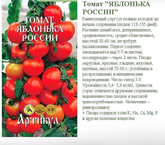 Томат «яблонька россии»: характеристика и описание сорта