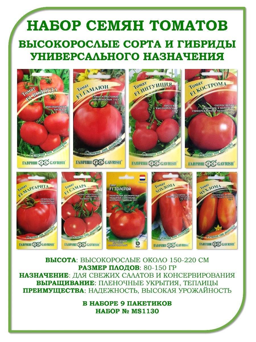 Описание высокорослого томата Миллионер и рекомендации по выращиванию рассады