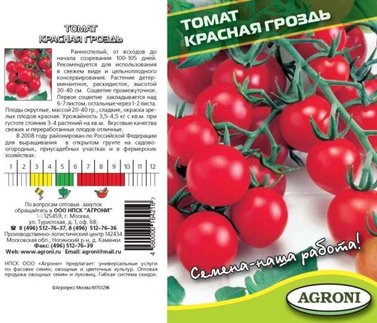 Описание сорта и характеристика томата Красная гроздь, его урожайность