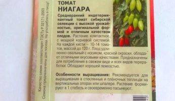 Томат ниагара: характеристика и описание сорта, выращивание, уход
