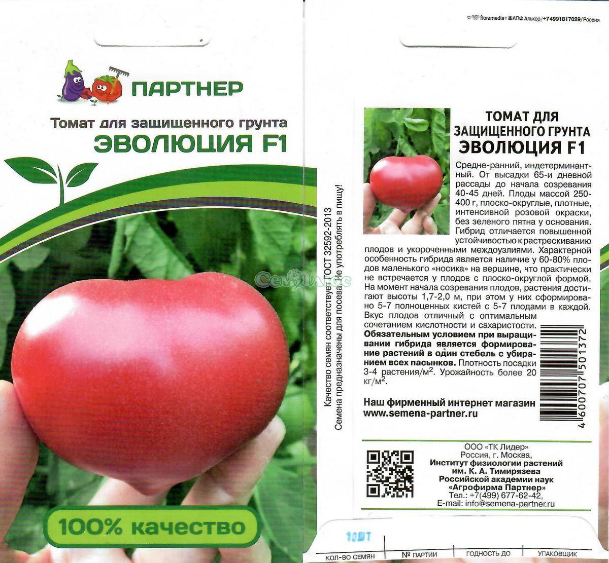 Ультраранний урожайный томат любаша: характеристики и описание сорта