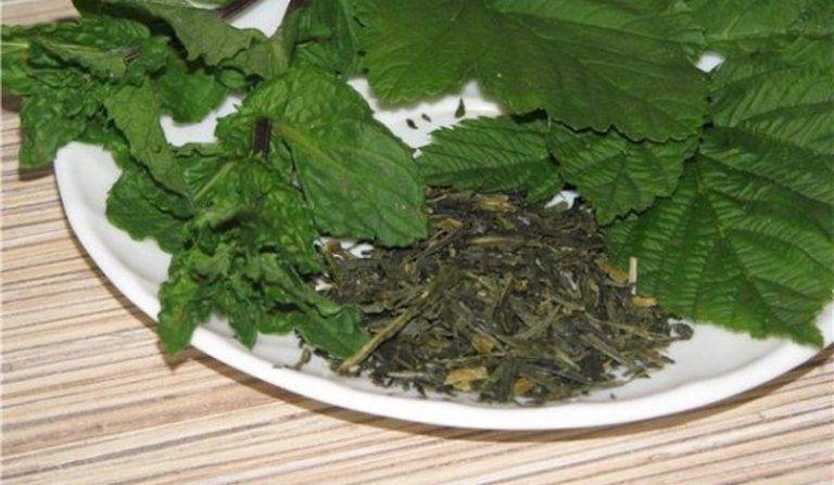 Сушка и заготовка листьев смородины и малины для чая