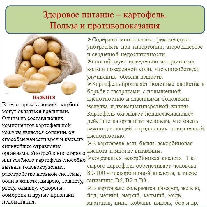 Выращивание картофеля | советы и рекомендации