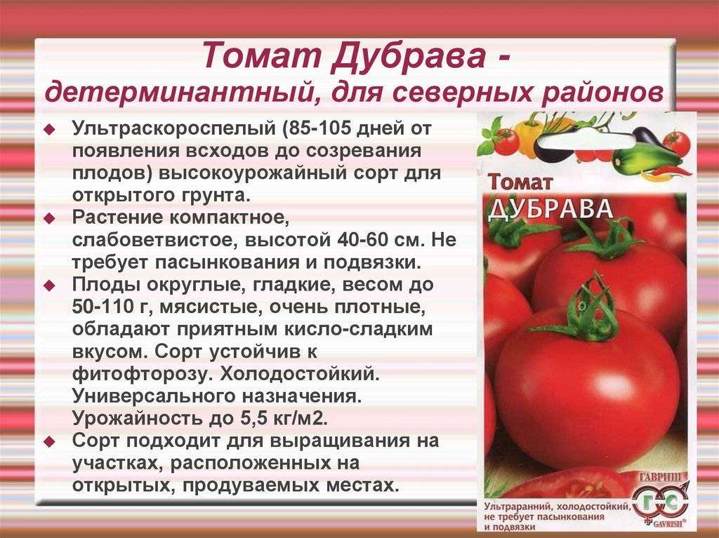 Томат викинг: характеристика и описание сорта, фото помидоров, отзывы об урожайности куста