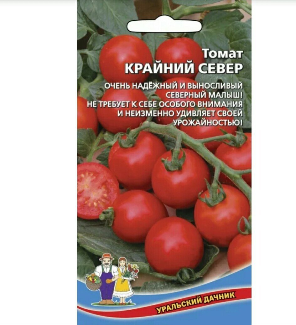 ᐉ томат крайний север характеристика и описание сорта - ogorod-u-doma.ru