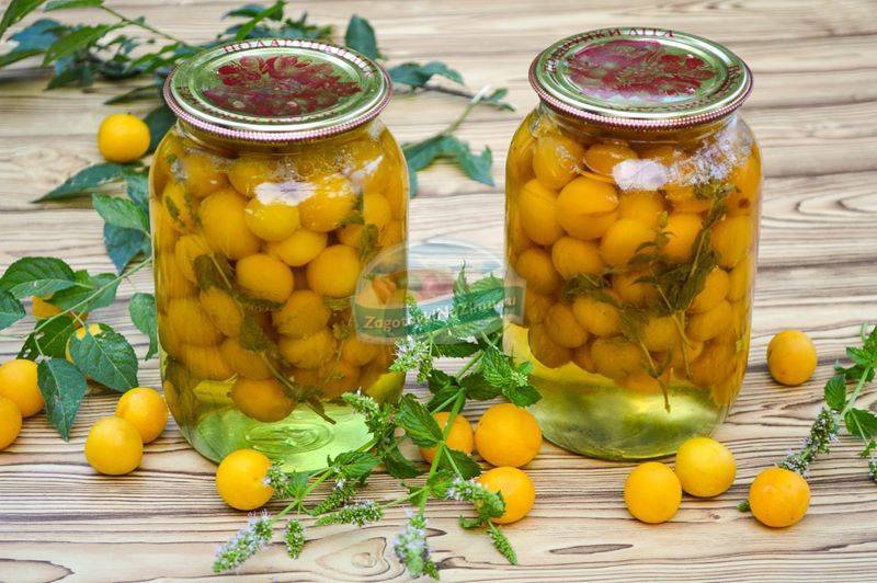 Слива маринованная закусочная как маслины: 5 лучших пошаговых рецептов на зиму
