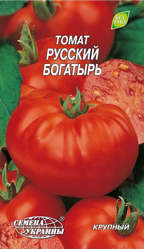 Сорт помидор русский богатырь