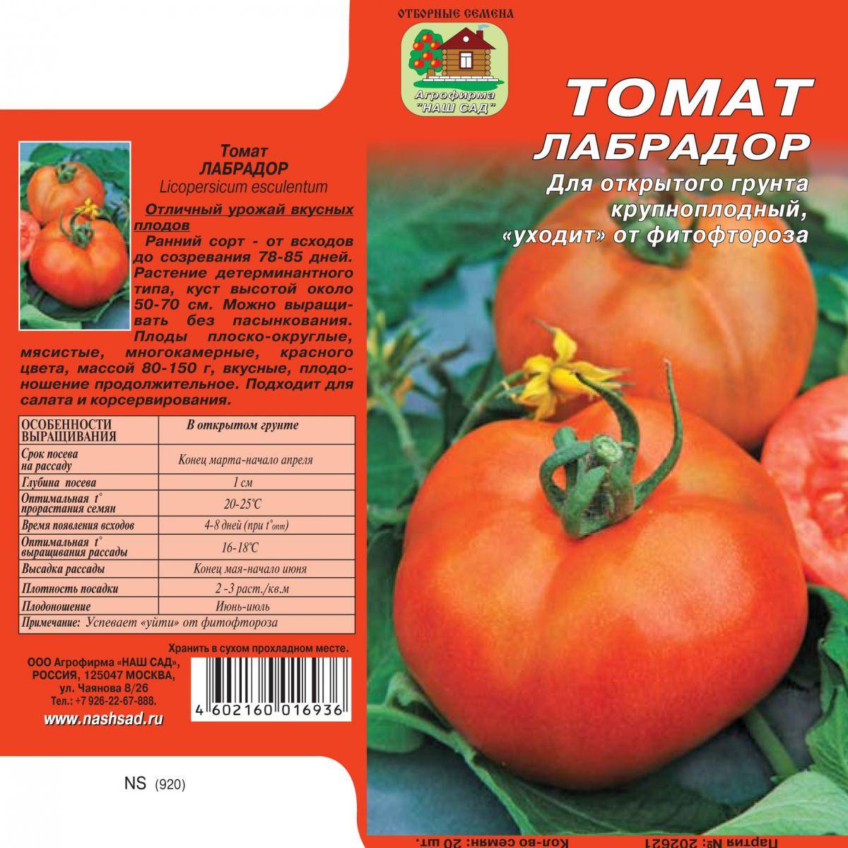 Томат ямал: описание и характеристика сорта, особенности выращивания помидоров, отзывы тех, кто сажал, фото