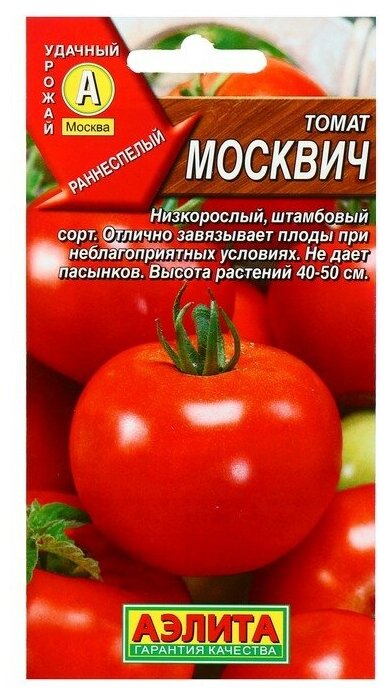 Помидоры «москвич»: проверенные годами качество, урожайность, стойкость, неприхотливость