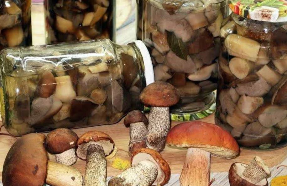 Маринованные подосиновики – рецепт. лучшие рецепты маринованных грибов на зиму в банках с уксусом