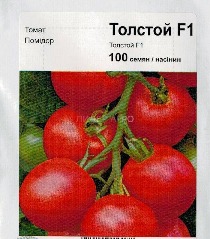 Томат толстой: отзывы (20), фото, урожайность, описание и характеристика | tomatland.ru