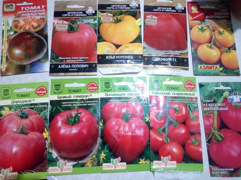 Характеристика сорта томатов генерал