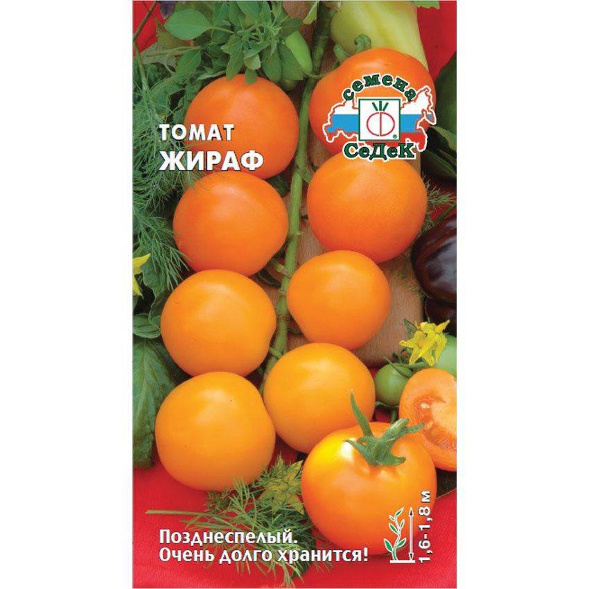 Томат жираф: характеристика и описание сорта помидора