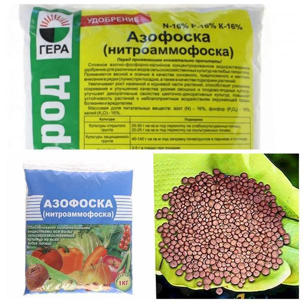 Азофоска: применение удобрения для картофеля, правила использования, инструкция