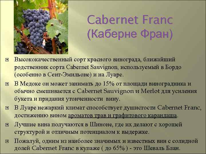 Описание и характеристика винограда сорта Гарнача, посадка и уход