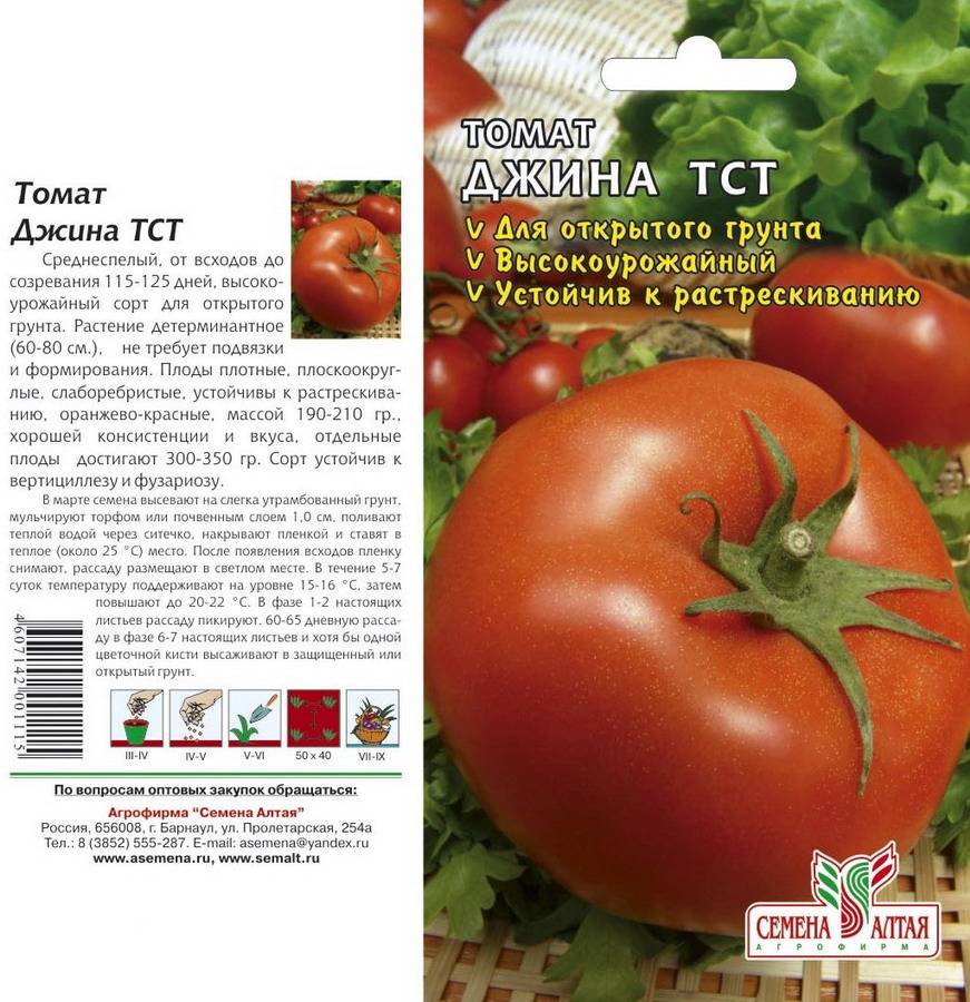 Положительный по всем параметрам сорт от российских селекционеров — томат «пародист»