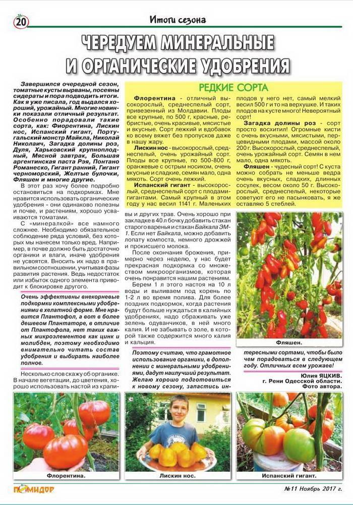 Подкормка томатов в теплице, какие удобрения и когда использовать