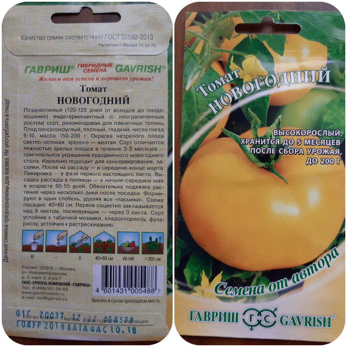 Выращивание помидор в теплице: пошаговая инструкция