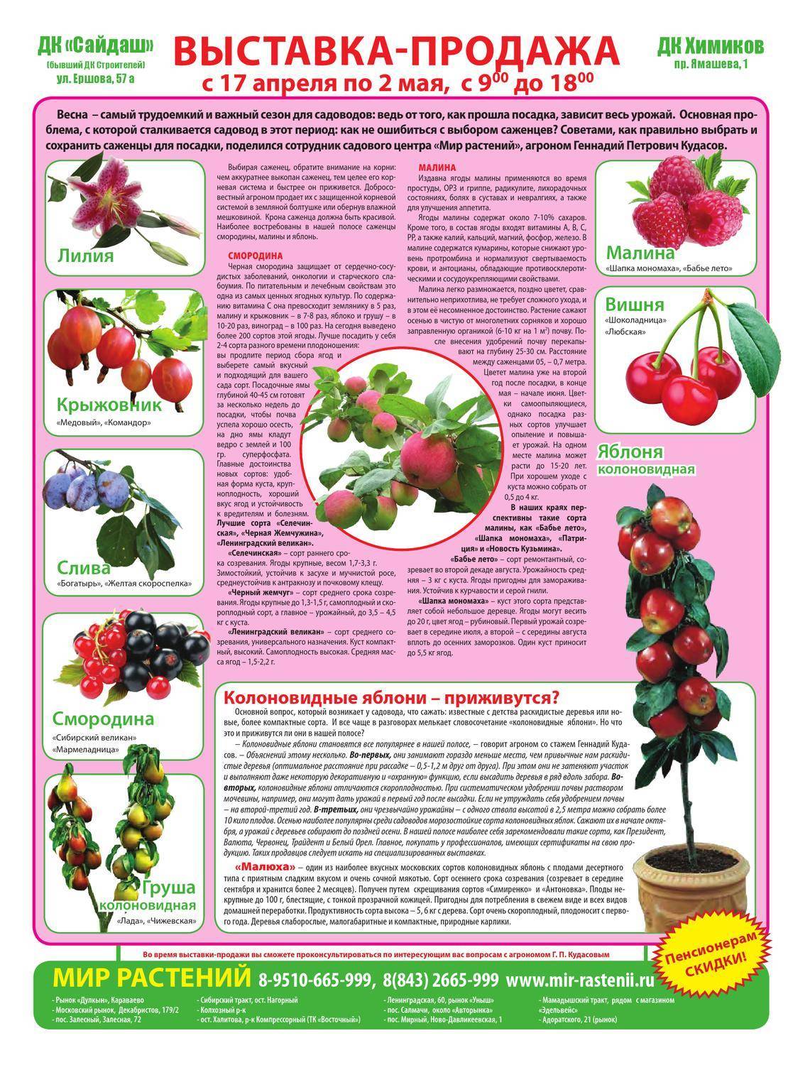 Описание и характеристики самых лучших сортов сладкой вишни, посадка и уход
