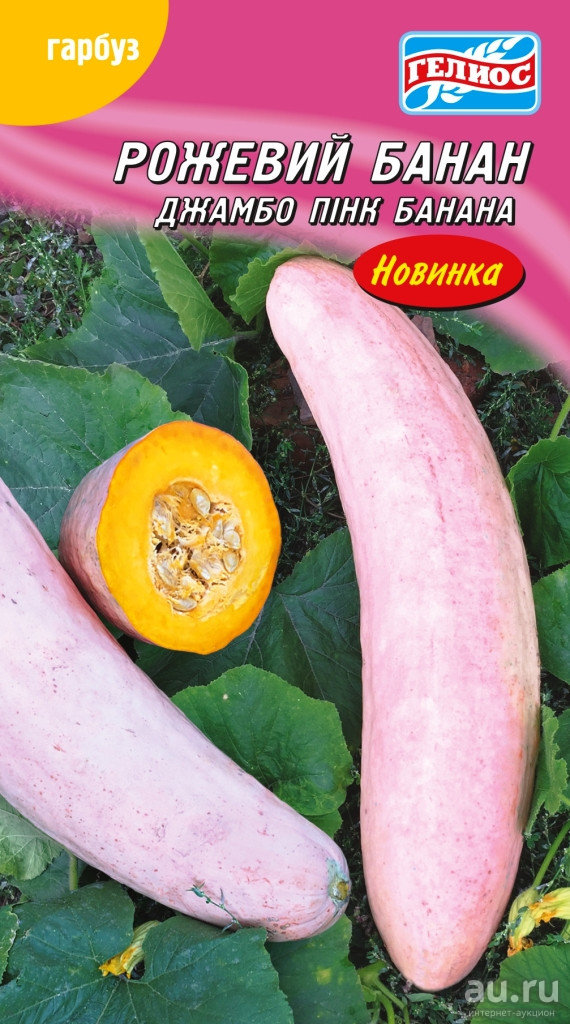Банановая тыква. описание сорта тыквы розовый банан, особенности выращивания и ухода