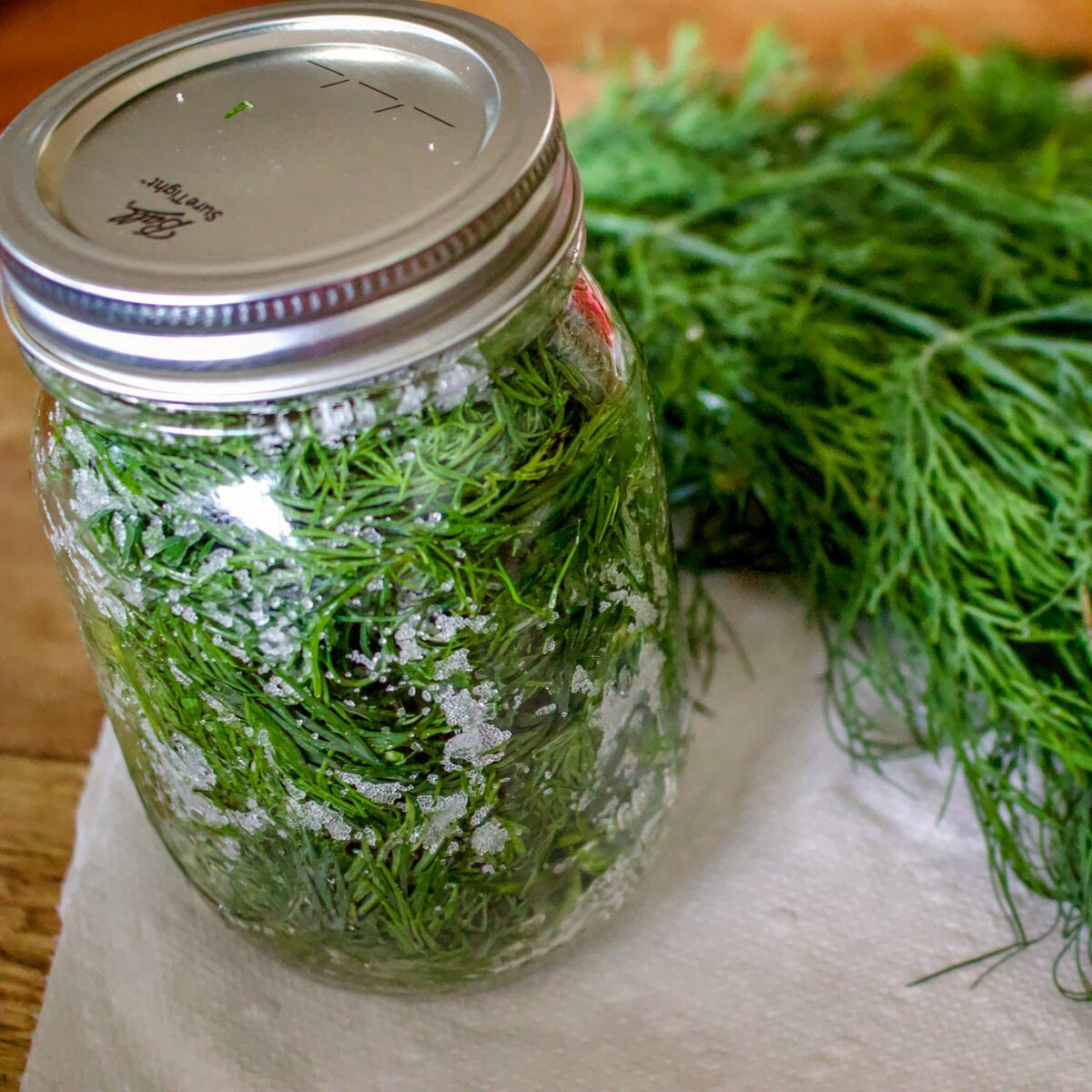 12 лучших рецептов приготовления зелени на зиму в домашних условиях