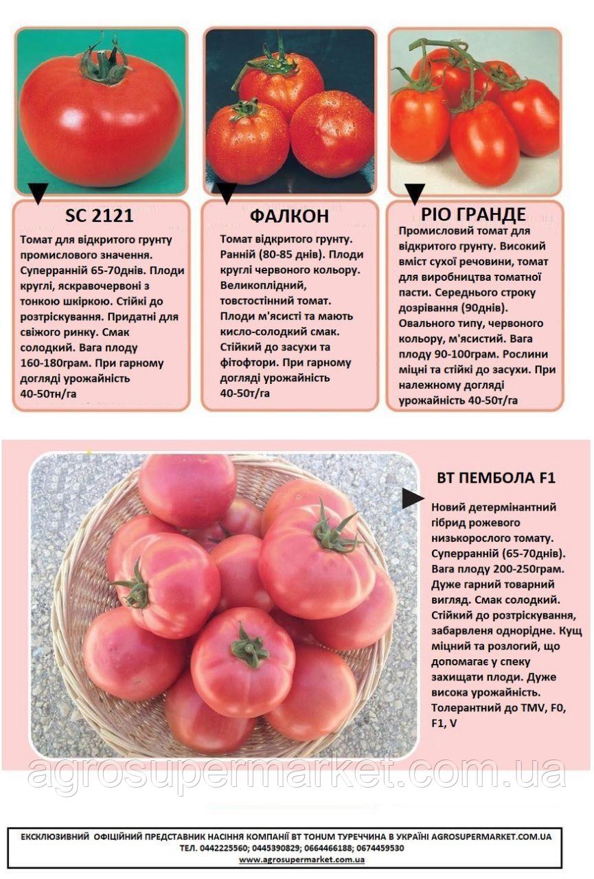 Томат розовые щёчки f1: описание сорта, особенности выращивания и ухода