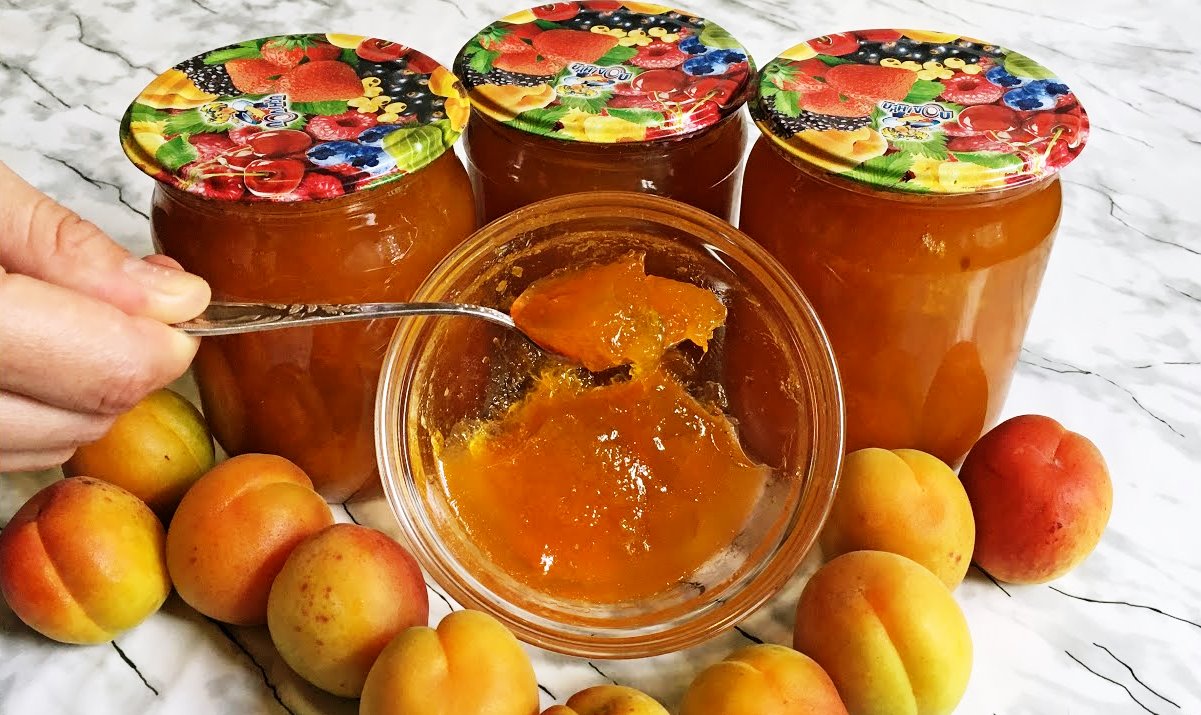 Абрикосовое повидло на зиму: пошаговые рецепты повидла из абрикосов с фото