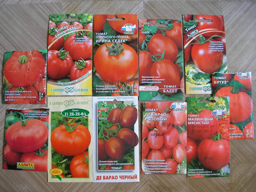 15 высокорослых томатов для теплиц - высокоурожайные лучшие сорта для открытого грунта, урожайность с куста