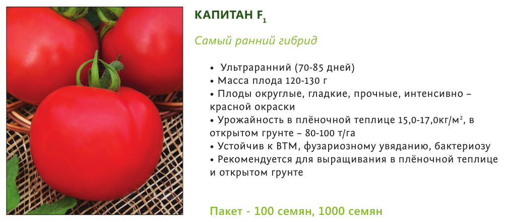 Фото, отзывы, описание, характеристика, урожайность сорта помидора «кристалл f1».