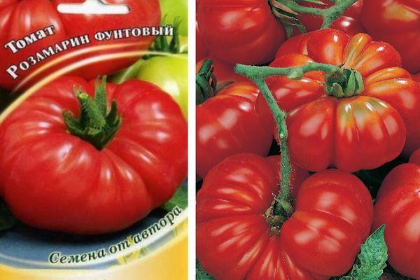 Фото, отзывы, описание, характеристика, урожайность сорта томата «розмарин фунтовый».