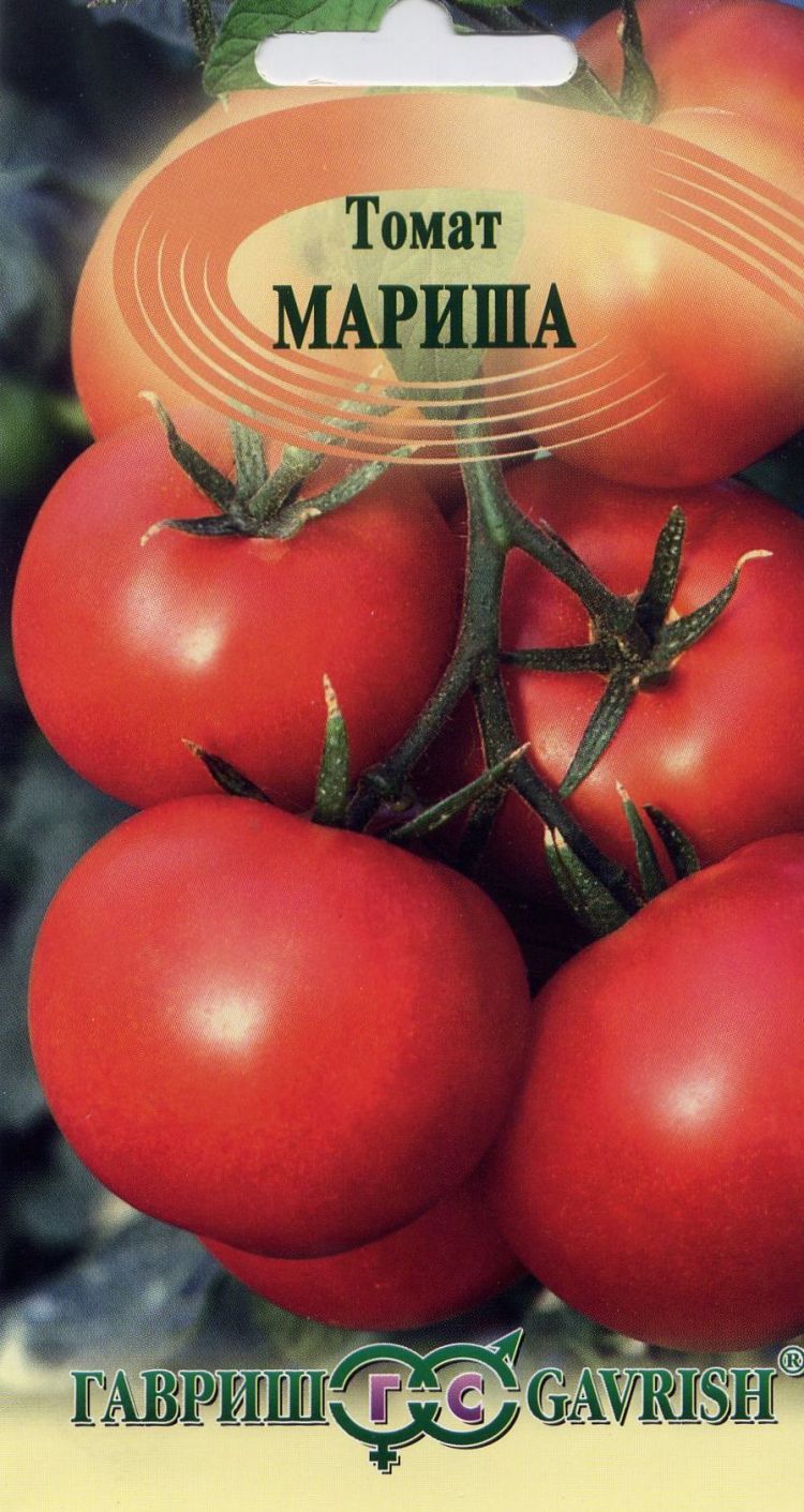 Томат памяти мариса f1: отзывы об урожайности помидоров, описание и характеристика сорта, фото семян
