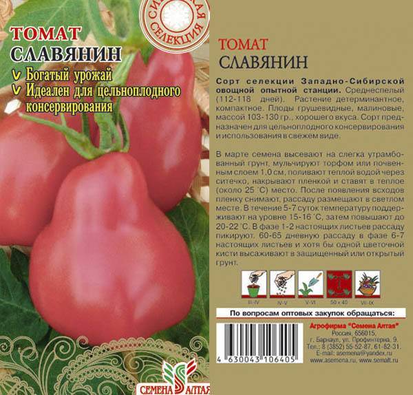Подсинское чудо – как вырастить сладкие сливовидные томаты. подробное описание и советы по уходу