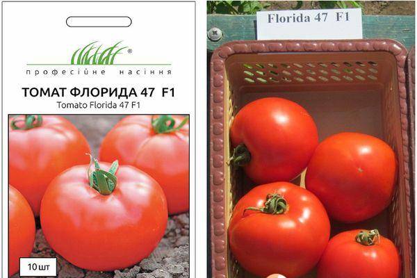 Описание томата Флорида f1, преимущества и агротехника выращивания сорта
