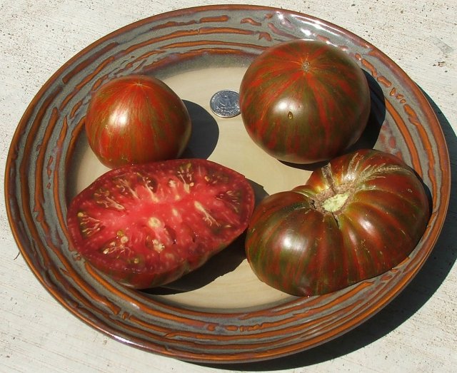 Сорт помидор перцевидный с фото