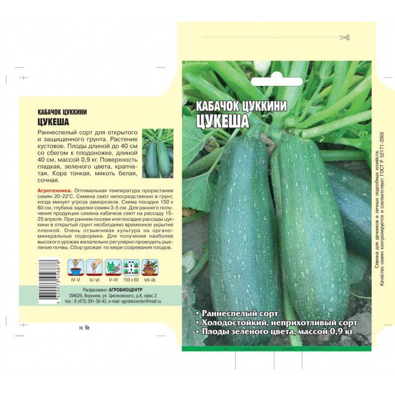 Сорта кабачков: обзор различных видов семян с описанием и фото