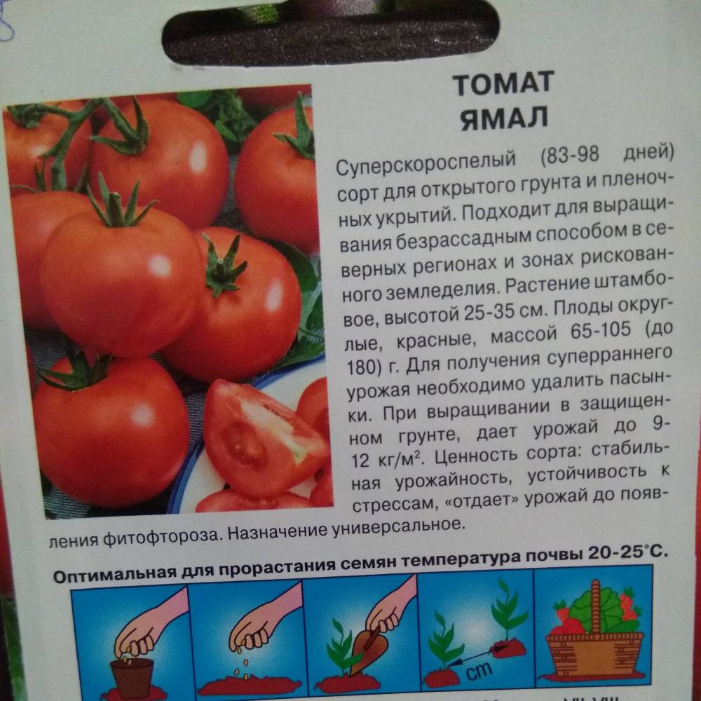 Помидоры «ямал»: описание и характеристика сорта томатов, описание плодов и растения, особенности выращивания