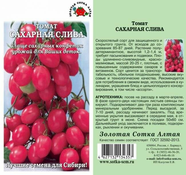 Томат спрут f1: описание помидорного дерева и особенности правильного выращивания