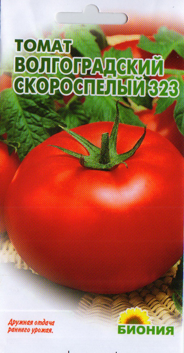 Томат ленинградский гигант: характеристика и описание сорта, отзывы об урожайности помидоров, фото растения