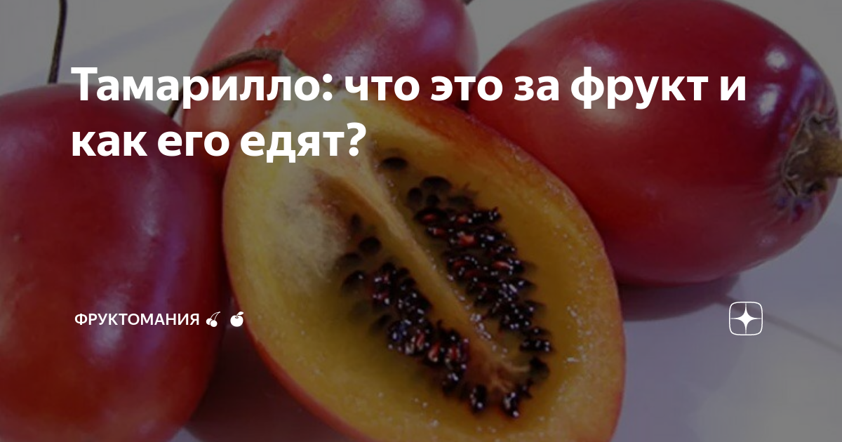 Тамарилло фрукт как едят, выращивание в домашних условиях
