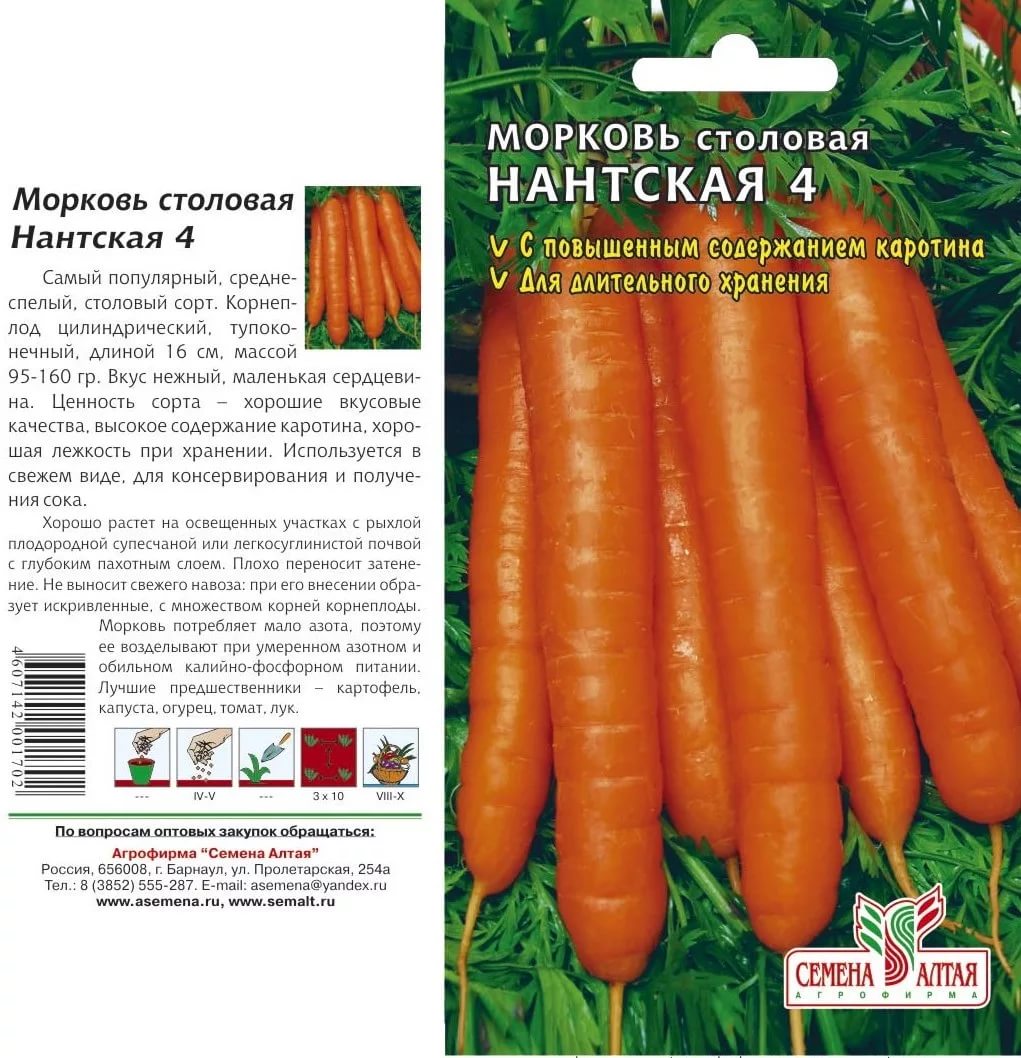 Морковь нантская 4: характеристика и описание сорта, фото, отзывы садоводов, урожайность