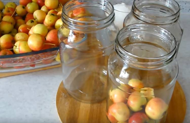Готовим компот из яблок на зиму: 14 вкусных рецептов +отзывы