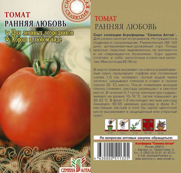 Сорт томата «ранний-83»: описание, характеристика, посев на рассаду, подкормка, урожайность, фото, видео и самые распространенные болезни томатов