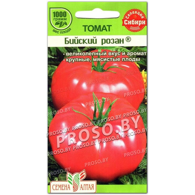 Томат бийский розан: характеристика и описание сорта, фото и отзывы об урожайности помидоров