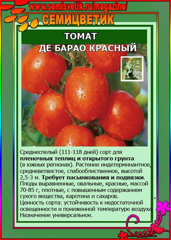 Томат колокольчик: отзывы, фото, урожайность, характеристика и описание сорта, достоинства и недостатки помидор