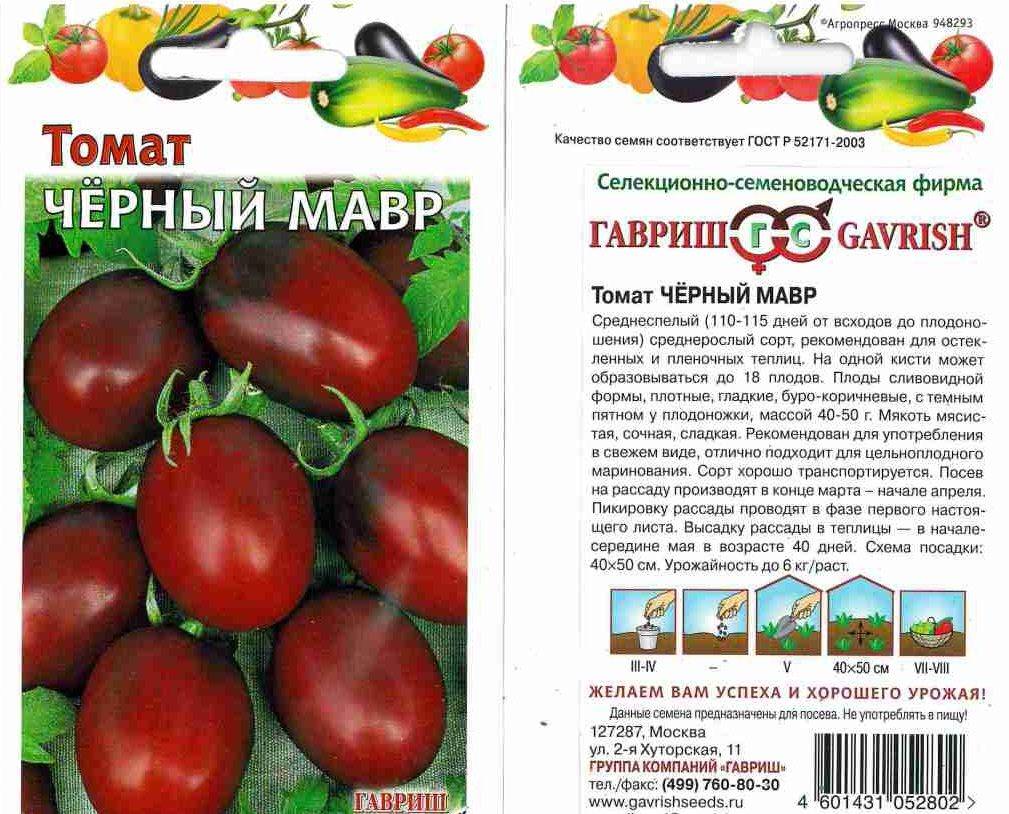Черный мавр томат: описание, плюсы и минусы, агротехника, урожайность